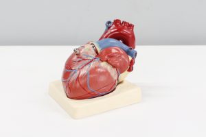 An Artificial Intelligence Speaker to Detect Heart Abnormalities