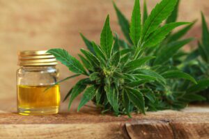 Cannabidiol CBD Oil