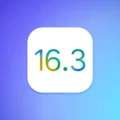 iOS 16.3 Release: What's New for Your iPhone
