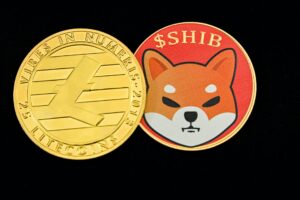 Shiba Inu CRYPTO:SHIB