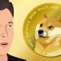 Elon Musk Tweets Dog CEO