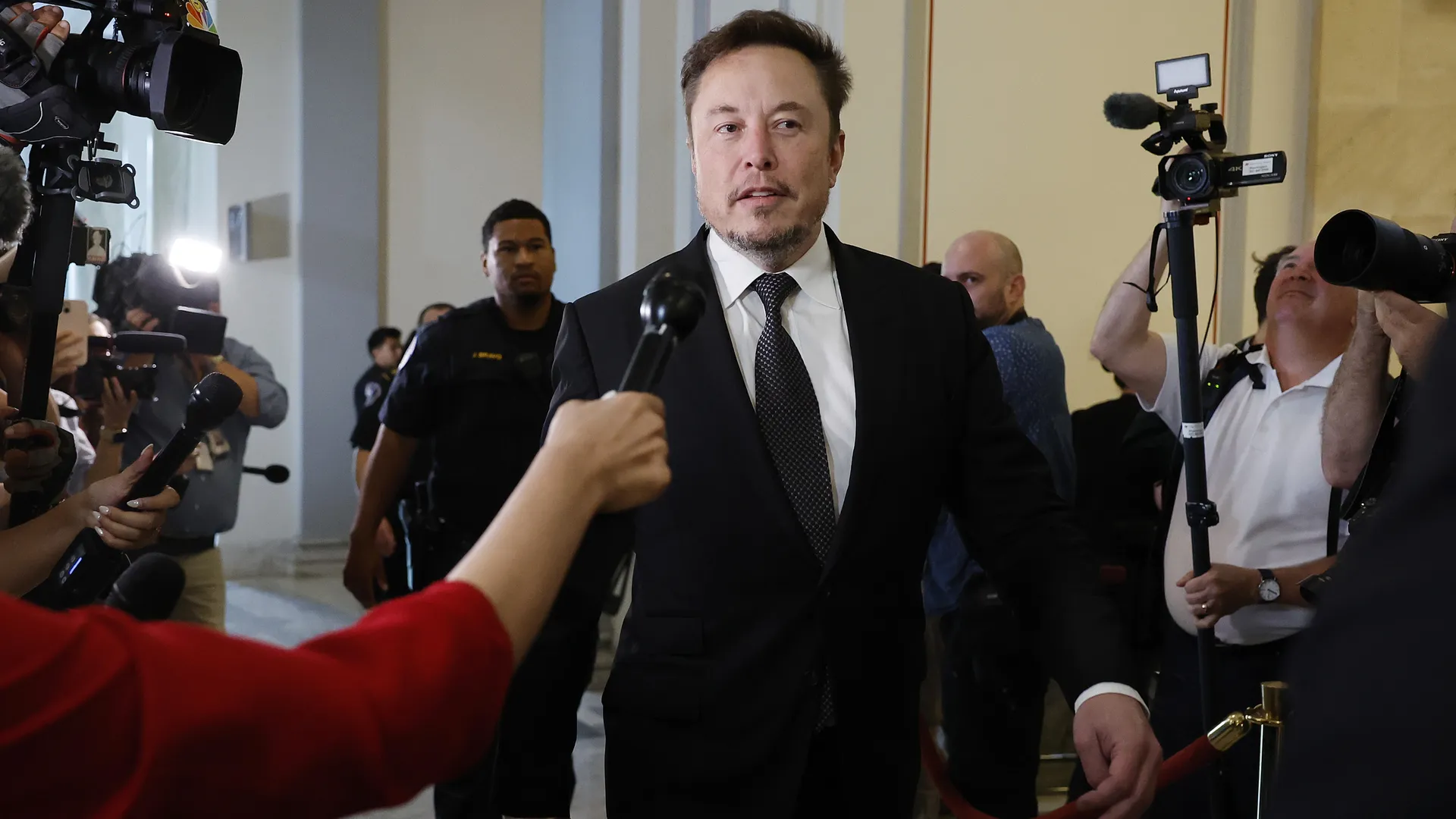 Elon Musk, platform 
